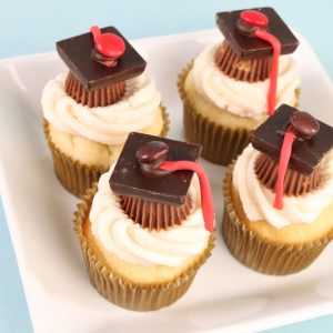 White Cake and Frosting - Candy Topper (12ct)